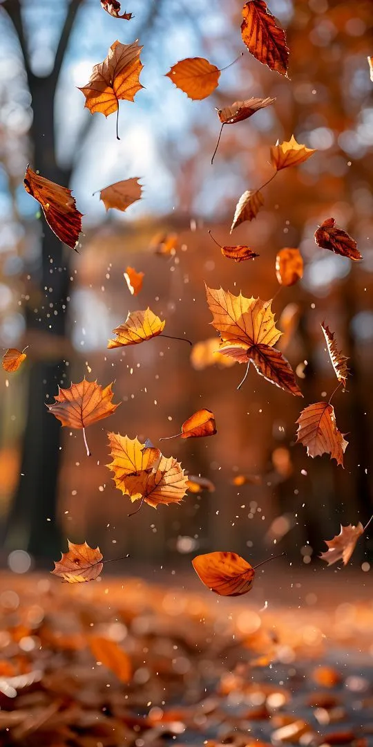 Orange autumn leaves floating in warm golden forest light with a softly blurred woodland background.