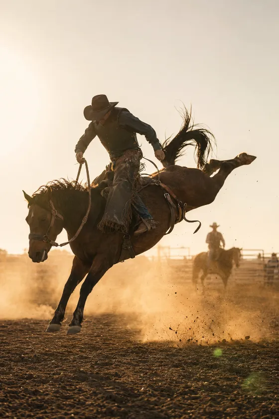 Backlit rodeo rider on a dark bucking horse airborne above a dusty arena at golden hour.