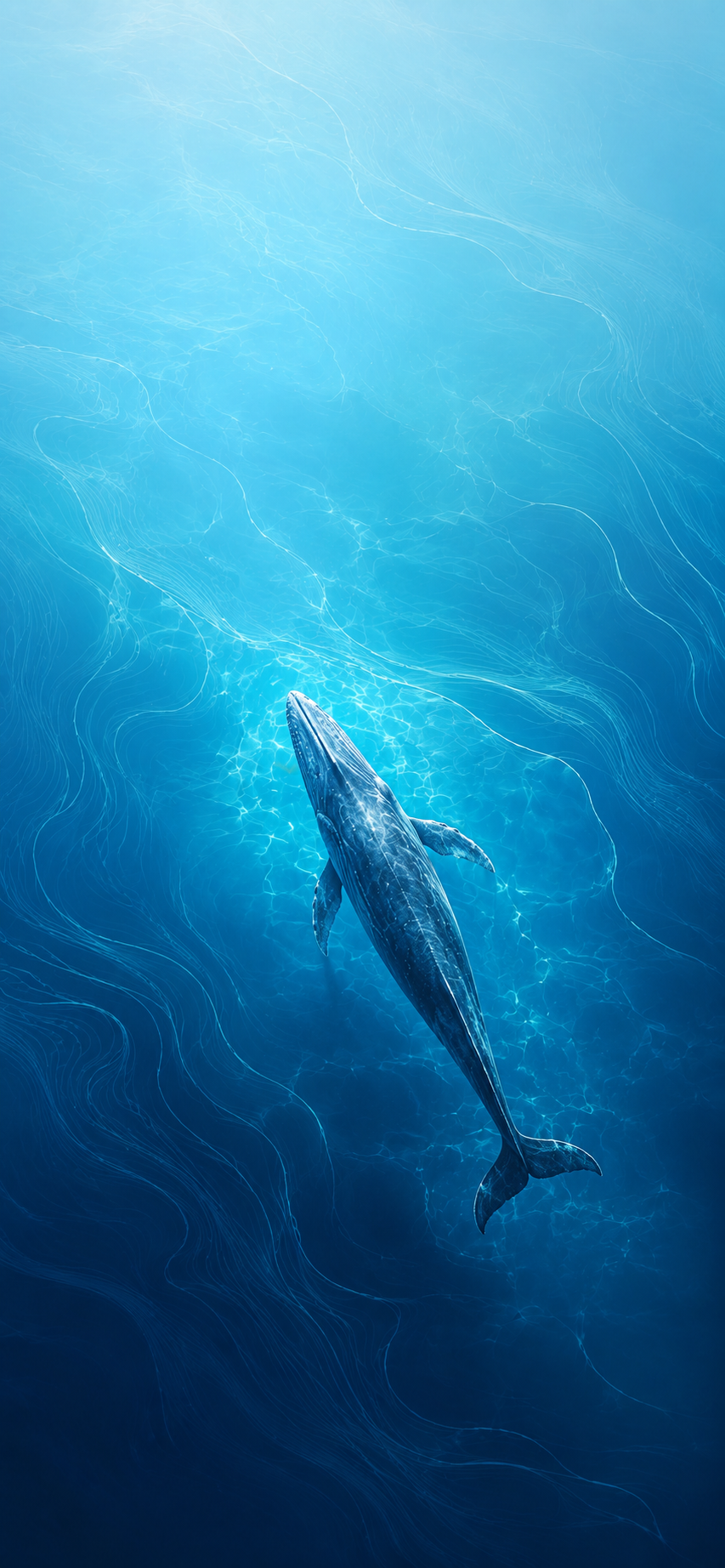 Top-down view of a blue whale swimming through luminous turquoise water with flowing contour-inspired currents.