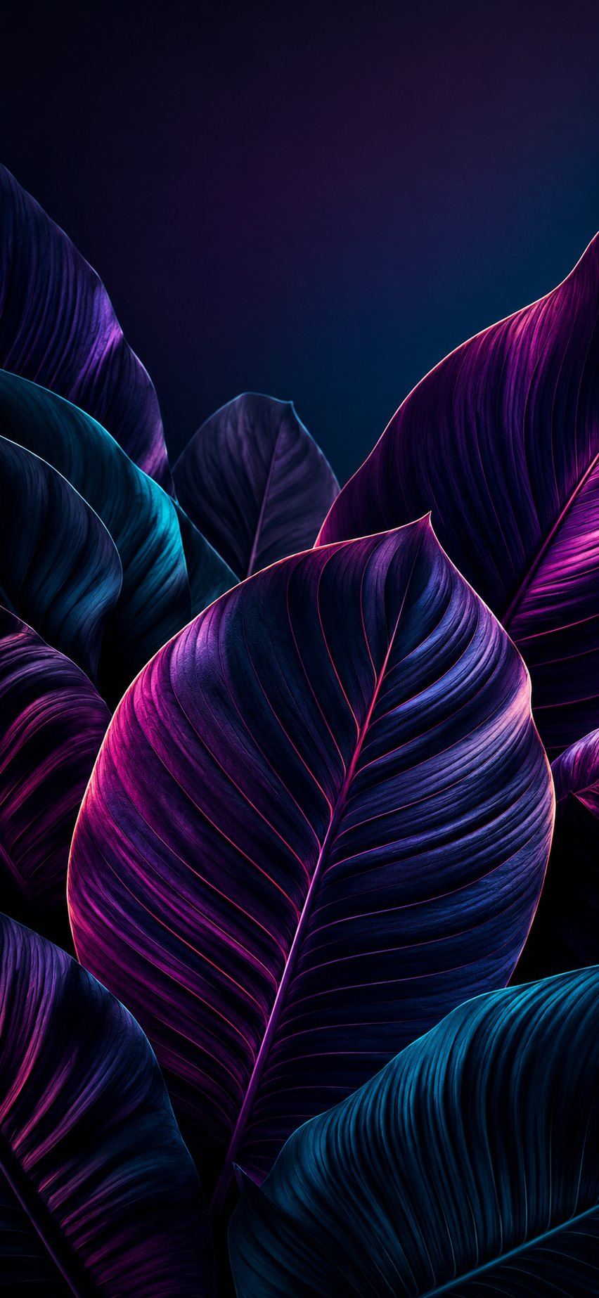 Dark iPhone wallpaper with neon magenta and cyan tropical leaves, visible veins, and rich black shadows.