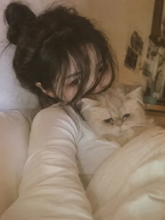 Warm hazy phone portrait of a young woman under a blanket holding a Persian cat, with only her eyes visible through loose bangs.