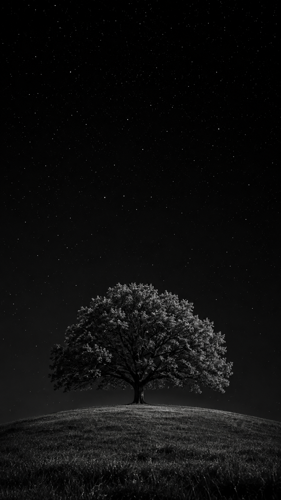 Monochrome iPhone wallpaper showing a solitary tree on a grassy hill beneath a vast black sky filled with crisp white stars.