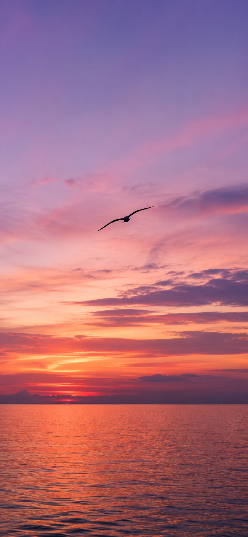 Single bird silhouette flying over a calm ocean at sunset with violet clouds and orange horizon light.