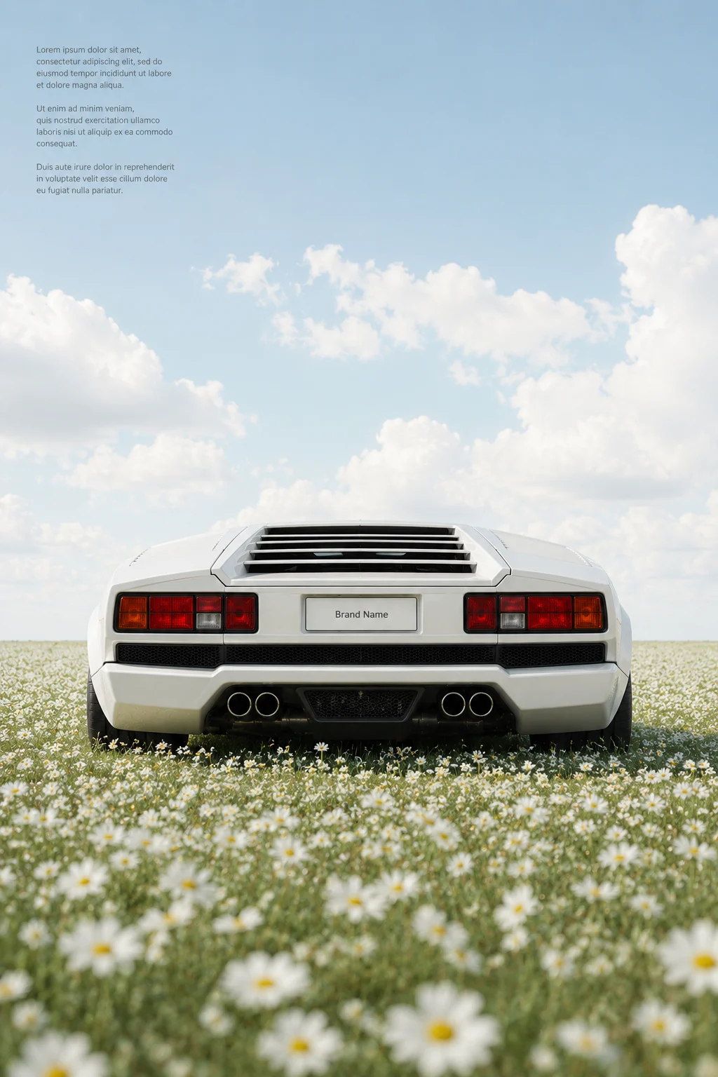 Rear view of a white supercar surrounded by white daisies in a sunny meadow with blue sky.